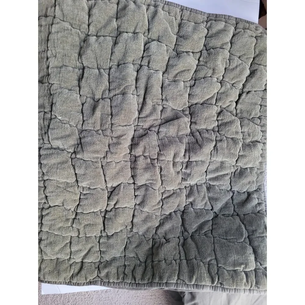 Pottery Barn Green Velvet Embroidered Shams Pair